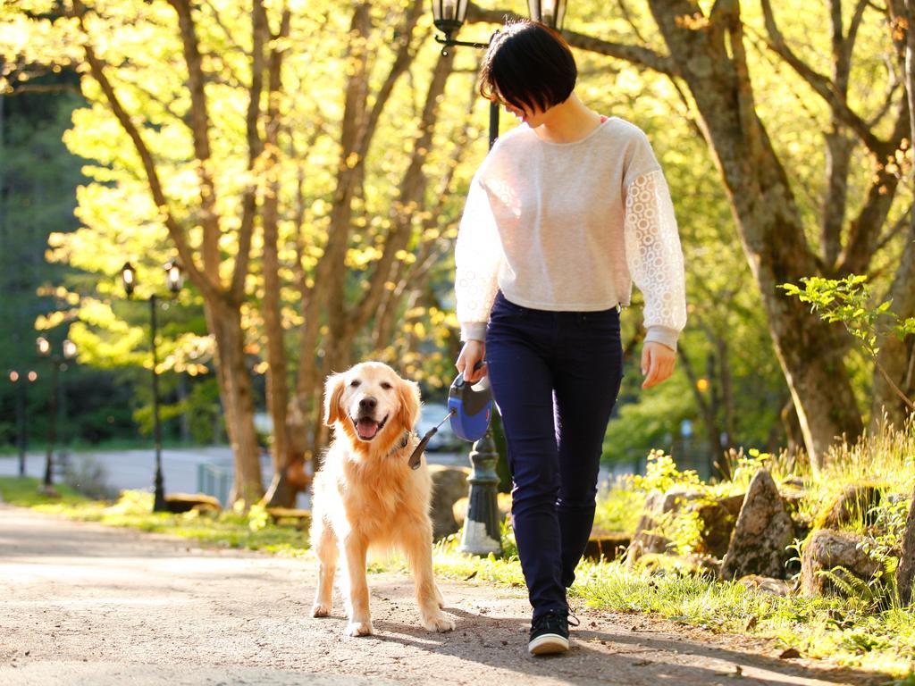 Izumigo Takayama Dog Paradise Hotel Zewnętrze zdjęcie