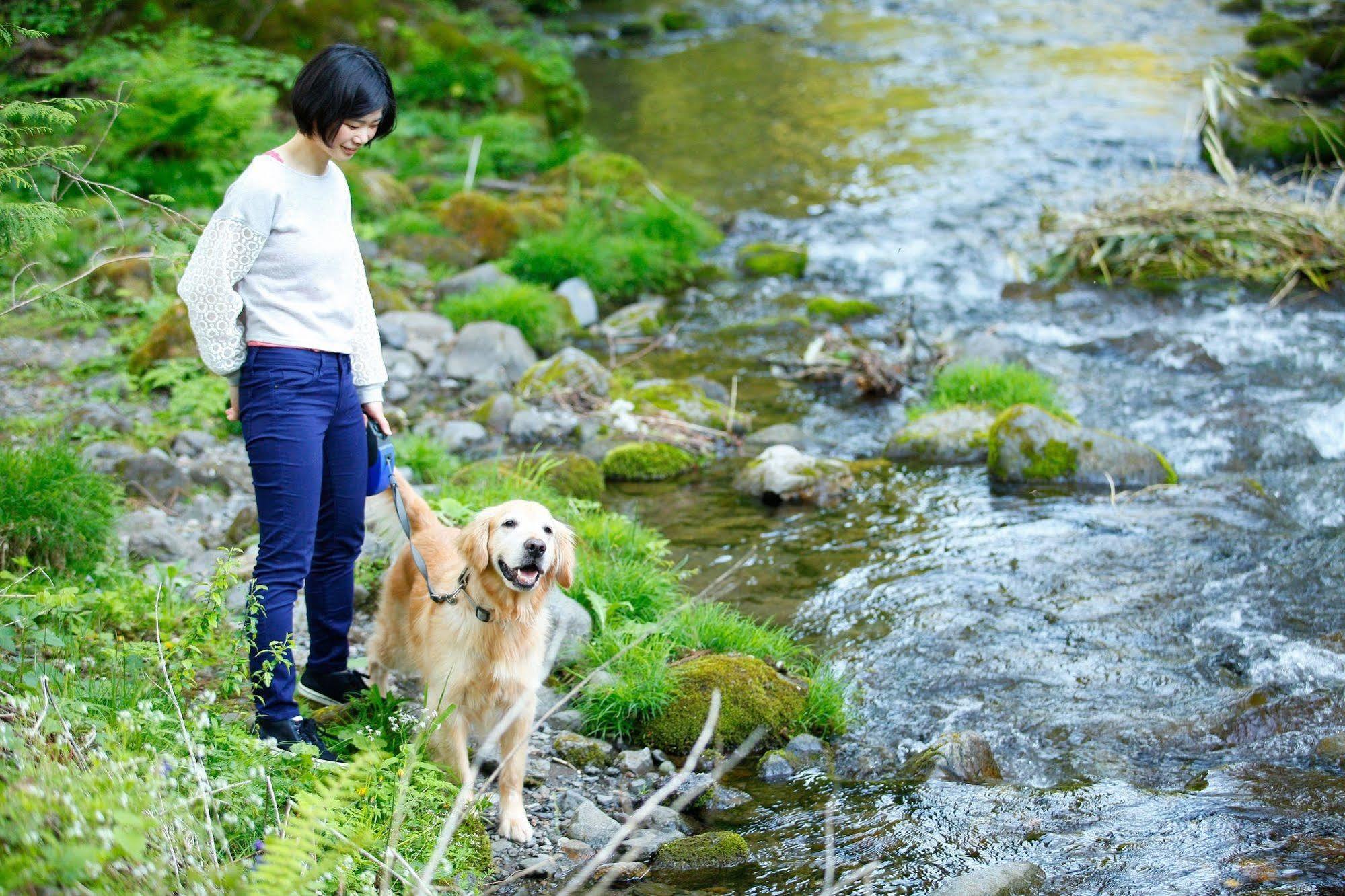 Izumigo Takayama Dog Paradise Hotel Zewnętrze zdjęcie